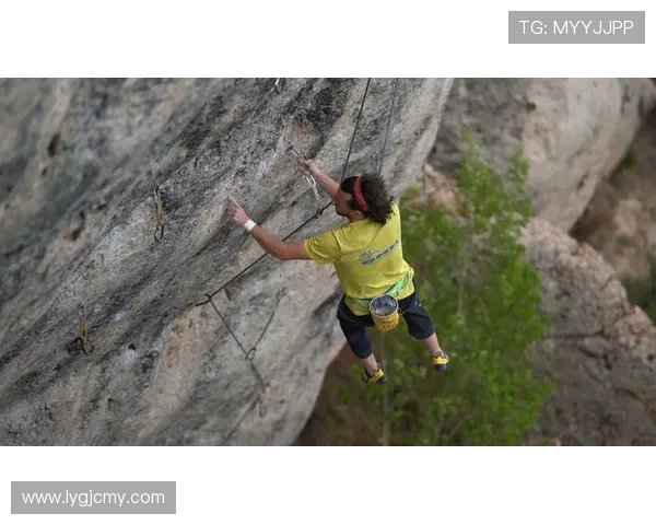 南京攀岩队与成都攀岩队赛后战术分析与总结探讨 南京攀岩队与成都攀岩队赛后战术分析与总结探讨