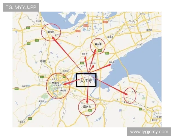 杭州乒乓球队实力分析与未来发展潜力的深入探讨
