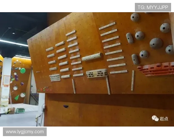 西安攀岩队进攻策略分析与比赛表现评估探讨