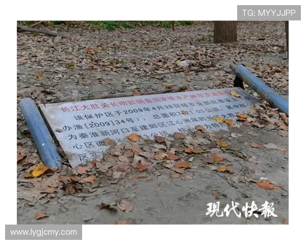 南京攀岩队区域防守革新之路探索与实践分析 南京攀岩队区域防守革新之路探索与实践分析