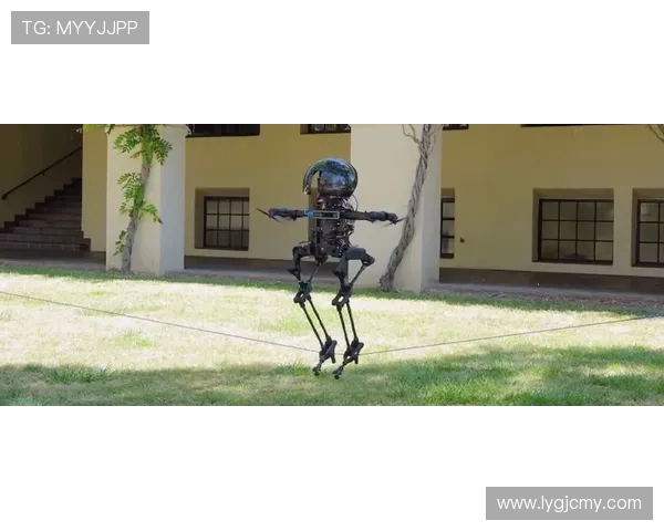 南京滑板队引领最新滑板灵活性TOP10榜单全景解析