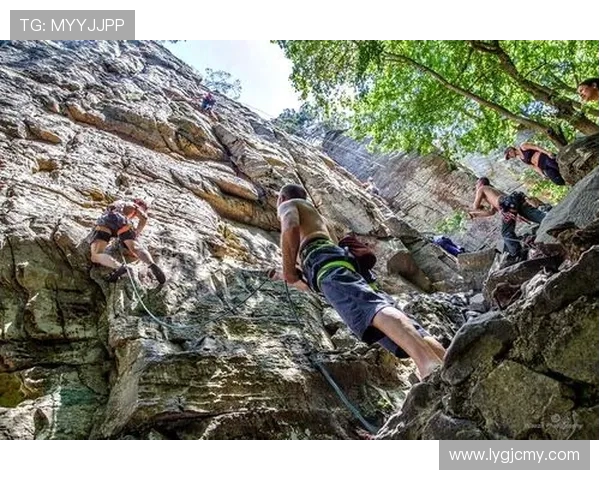 杭州极限运动队在世界攀岩锦标赛中的默契配合与精彩表现分析